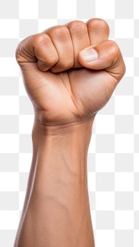 PNG Hand finger fist  