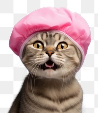 PNG cat in pink shower cap portrait. AI generated image by rawpixel.