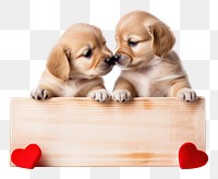 PNG two cute puppies kissing, transparent background