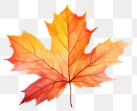 PNG Autumn Leave autumn leaves maple. AI generated Image by rawpixel.