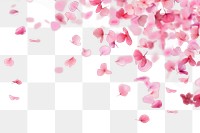 Cherry blossom leaf png, transparent background