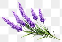 PNG Lavender flower purple plant. 