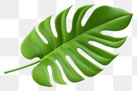 PNG Philodendron Xanadu leaf plant freshness. 