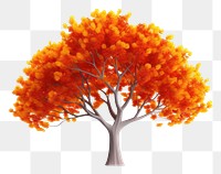 PNG Fall tree plant maple white background. AI generated Image by rawpixel.