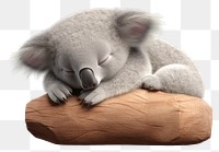 PNG Koala wildlife sleeping mammal. 