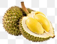 PNG  Durian fruit plant food