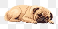 PNG Dog pug animal mammal. 