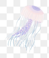 PNG Jellyfish animal invertebrate transparent. 