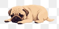 PNG Dog pug animal mammal. 