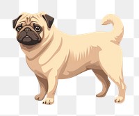 PNG Dog pug animal mammal. AI generated Image by rawpixel.