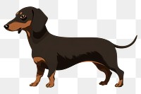 PNG Dog dachshund animal mammal. 