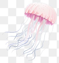 PNG Jellyfish animal nature invertebrate. 