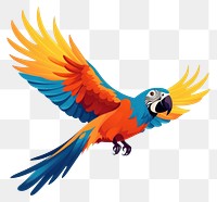 PNG Parrot animal flying bird. 