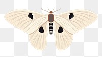 PNG Moth butterfly insect animal. 