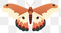 PNG Moth butterfly animal insect. AI generated Image by rawpixel.