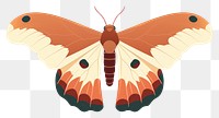 PNG Moth butterfly animal insect. 