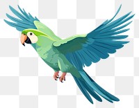 PNG Parrot animal bird wing. 