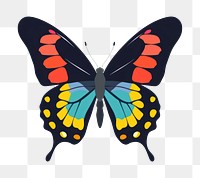 PNG Butterfly animal insect invertebrate. 