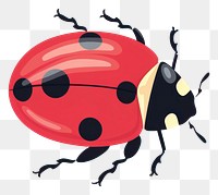 PNG Ladybug animal wildlife outdoors. AI generated Image by rawpixel.