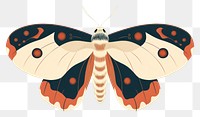 PNG Moth butterfly animal insect. 