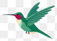 PNG Hummingbird animal flying beak. 