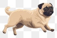 PNG Animal mammal pug dog. 