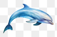 PNG Dolphin dolphin animal mammal. 