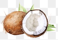 PNG Fresh young coconut fruit plant food. AI generated Image by rawpixel.