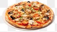 PNG Seafood Pizza pizza meal  