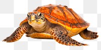 PNG Sea turtle reptile animal white background. AI generated Image by rawpixel.