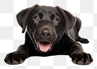 PNG Happy black Labrador Retriever dog. AI generated Image by rawpixel.