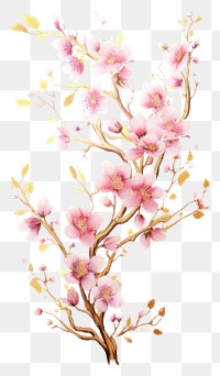 PNG Cherry blossom flower plant art
