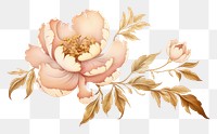 PNG Chinese peony pattern flower plant. AI generated Image by rawpixel.