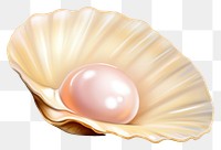 PNG  Pearl seashell jewelry clam. AI generated Image by rawpixel.