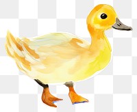 Animal bird duck anseriformes. AI generated Image by rawpixel.