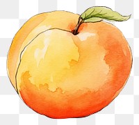 PNG Peach sketch fruit plant. AI generated Image by rawpixel.