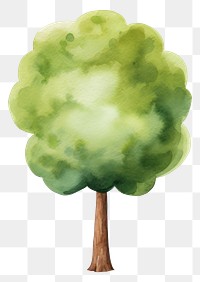 PNG  Big tree outdoors nature plant. AI generated Image by rawpixel.