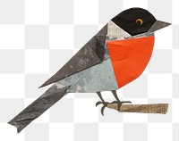 PNG Bird painting animal beak. AI generated Image by rawpixel.