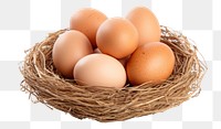 PNG Egg food nest white background. 