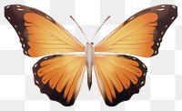 PNG Butterfly animal insect. AI generated Image by rawpixel.