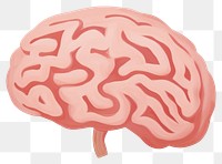 PNG Human brain illustration. AI generated Image by rawpixel.
