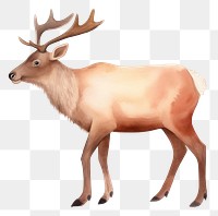 PNG Reindeer wildlife animal mammal. AI generated Image by rawpixel.