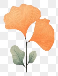 PNG Ginkgo leaf art flower petal. AI generated Image by rawpixel.