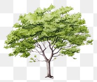 PNG Bush sketch plant tree. AI generated Image by rawpixel.