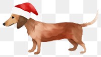 PNG  Dog wearing a christmas hat mammal animal hound. AI generated Image by rawpixel.