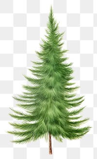 PNG Artificial christmas tree plant pine leaf. AI generated Image by rawpixel.