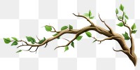PNG  Branch plant tree leaf. AI generated Image by rawpixel.