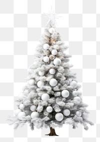PNG Christmas tree christmas plant white