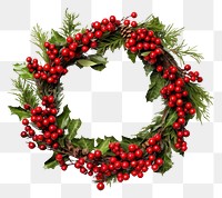 PNG Christmas Wreath wreath christmas white background