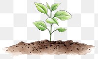 PNG Plant sketch leaf soil. 